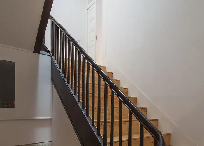 비나파트 리오 *